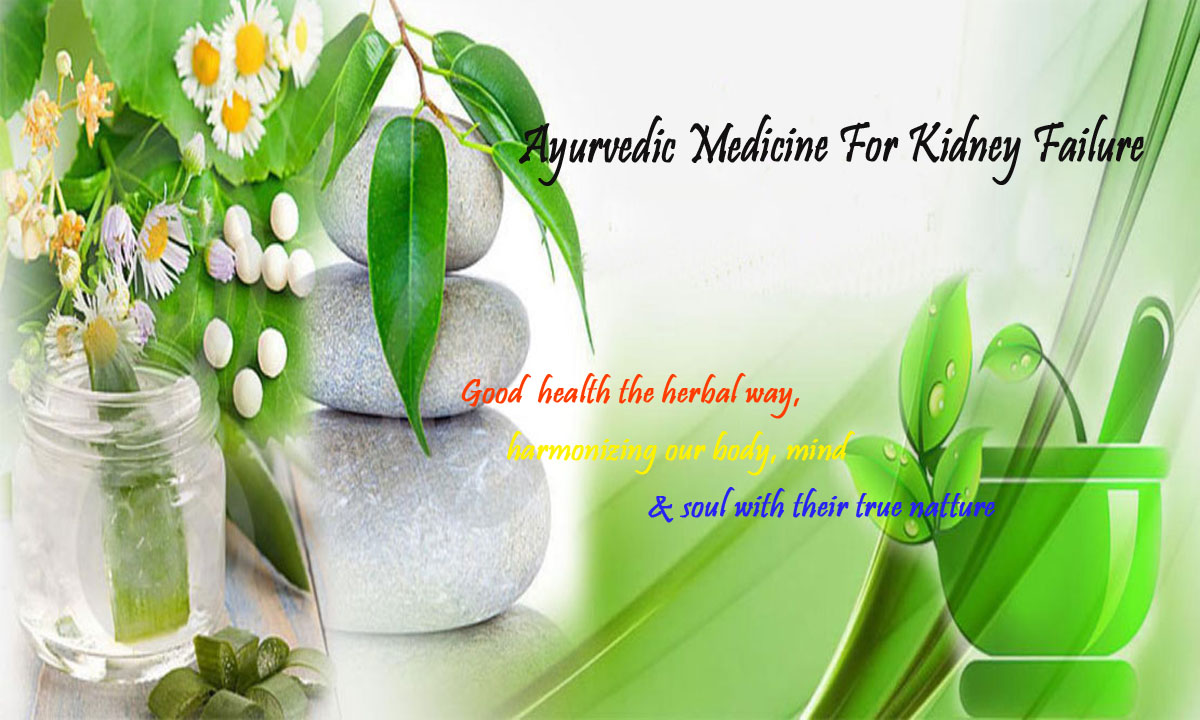 Best Ayurvedic Medicine for Kidney Failure