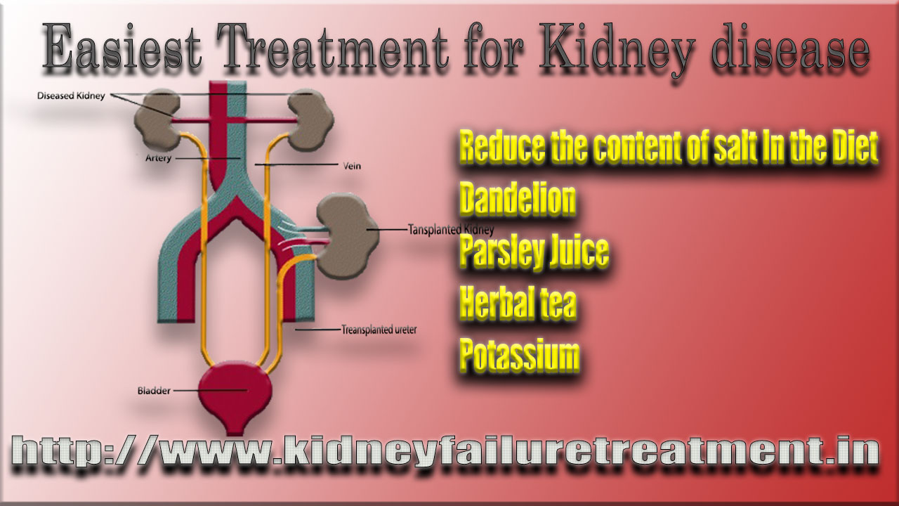 Easiest Treatment for Kidney disease
