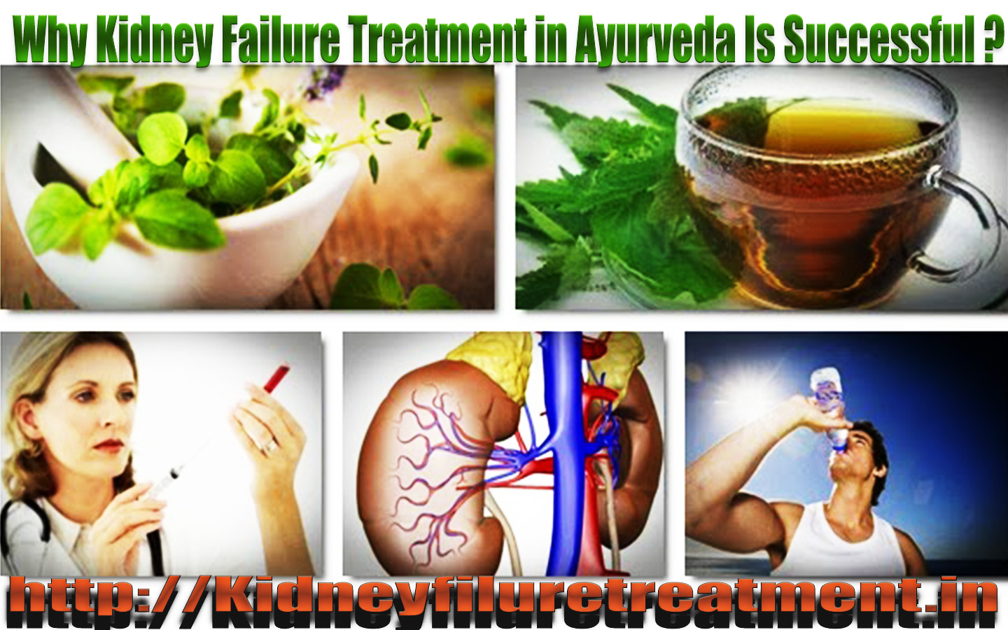 Why Kidney Failure Treatment in Ayurveda Is Successful