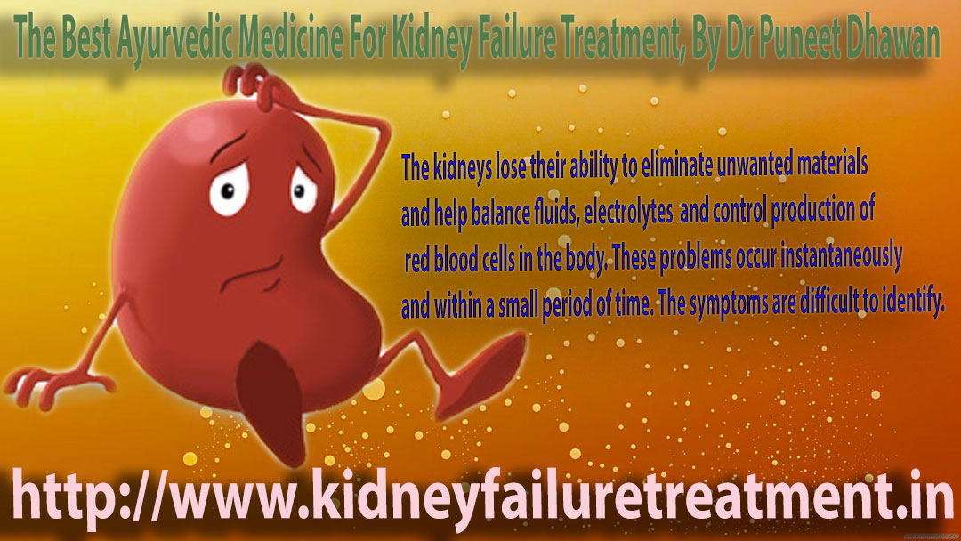 ayurvedic medicine kidney failure
