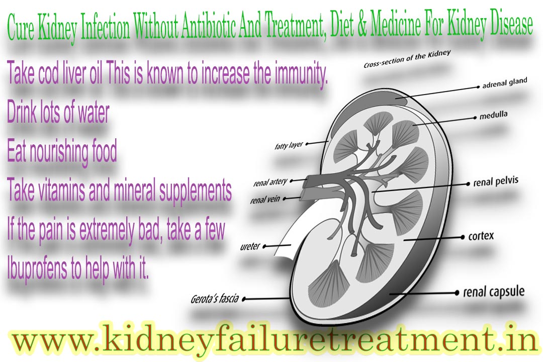 kidney treatment without-antibiotic