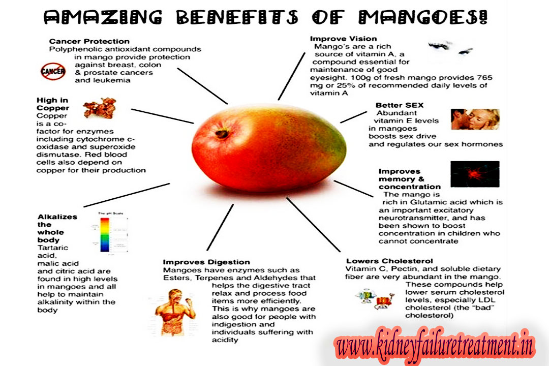 Mango kidney disease