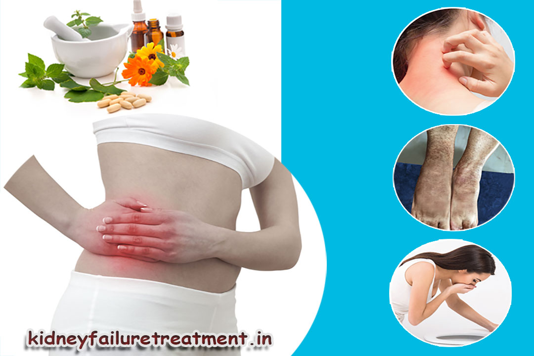 Causes Of Kidney Problems
