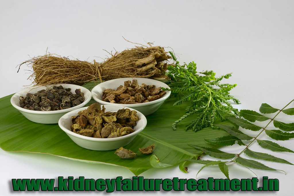 how-long-can-you-live-with-end-stage-renal-failure-ayurved-treatment