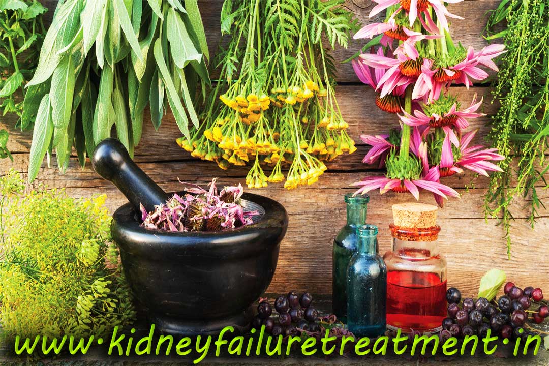 kidney treatment diet