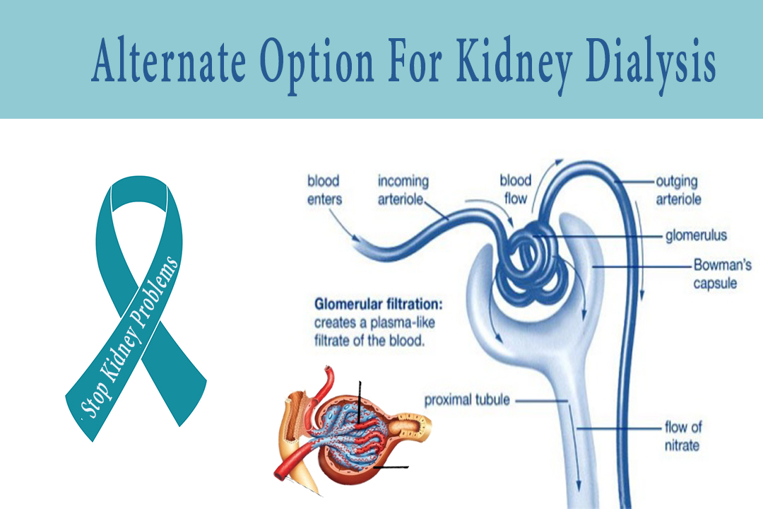 Alternate Option For Kidney Dialysis