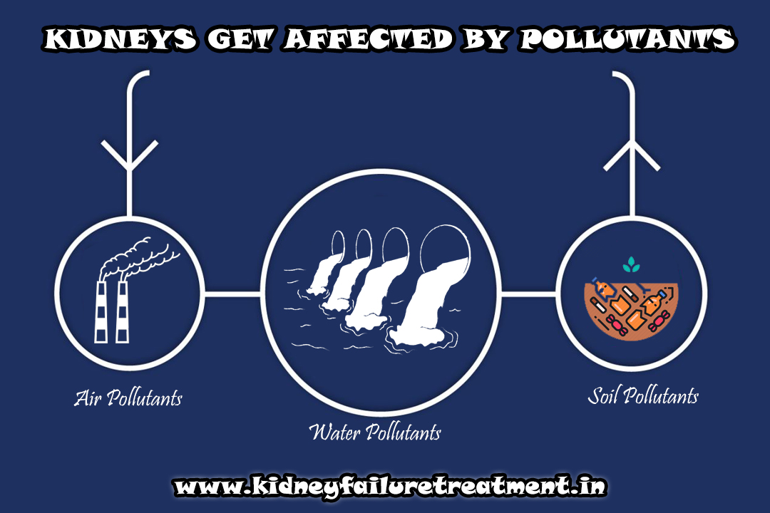 Kidney disease is caused by pollutants