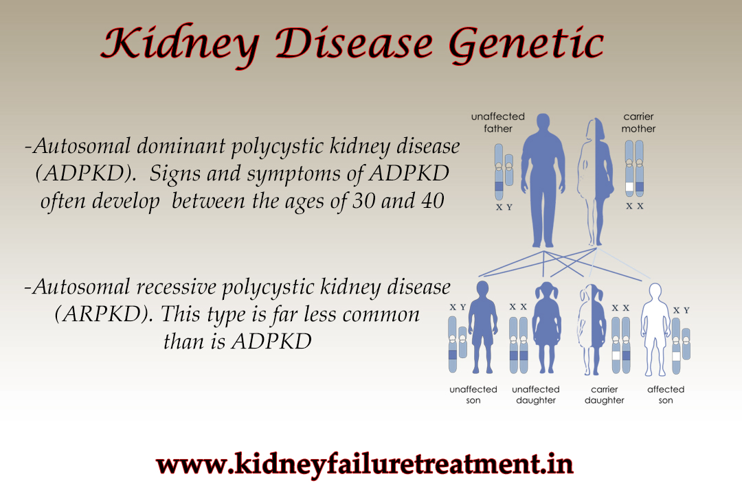 Kidney Disease Genetic