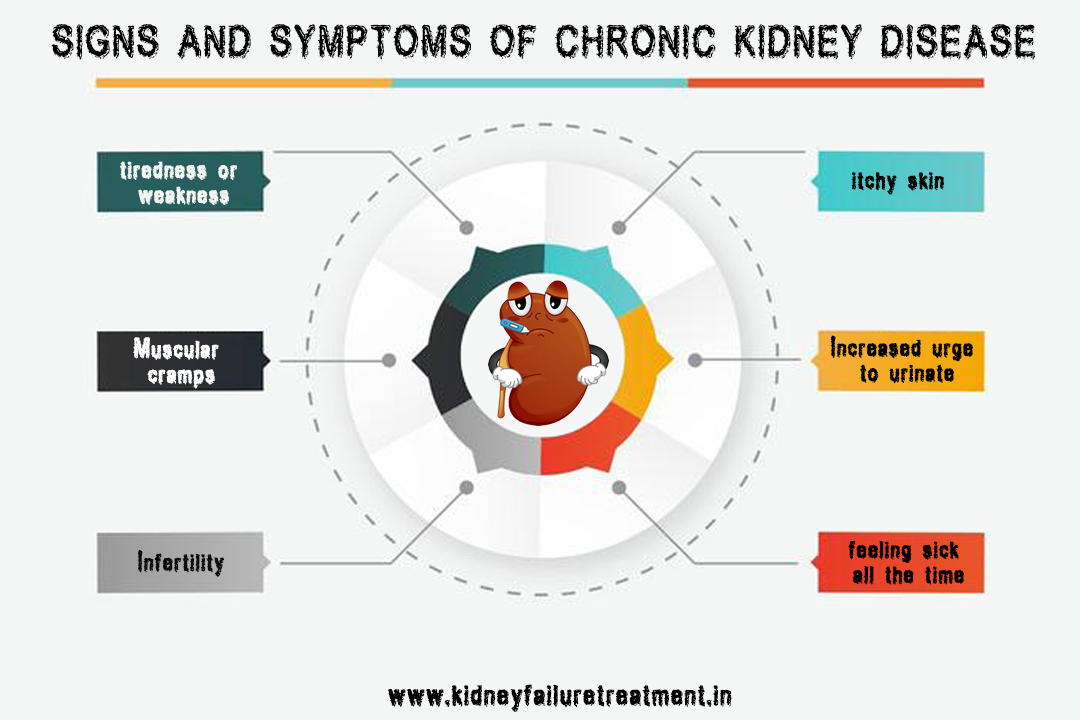 How Kidney Disease Develops