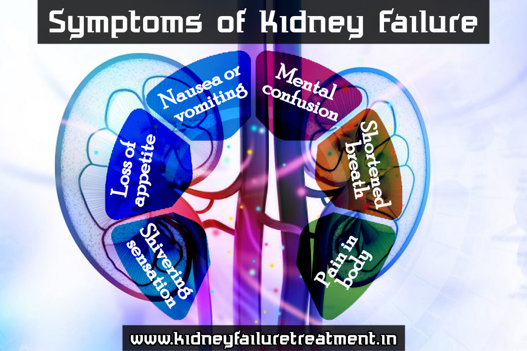kidney disease is caused by pollutant