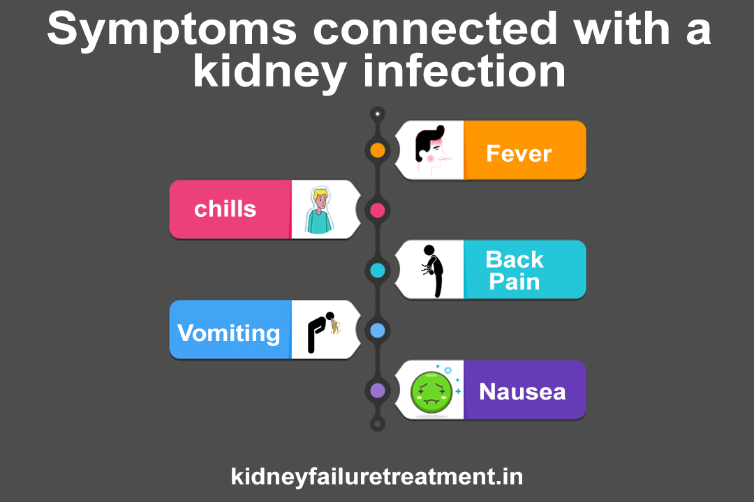 Ayurvedic medicine for a kidney infection