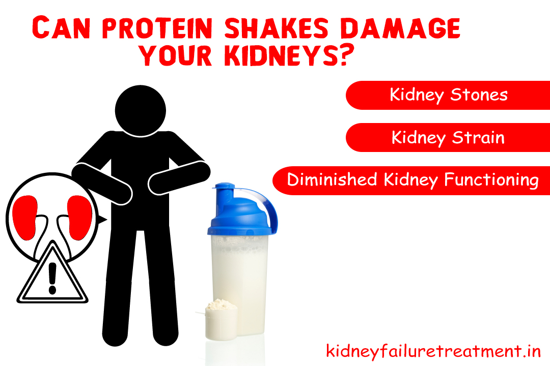 Can protein shakes damage your kidneys