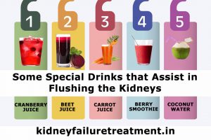 WHAT IS THE BEST DRINK TO FLUSH YOUR KIDNEYS