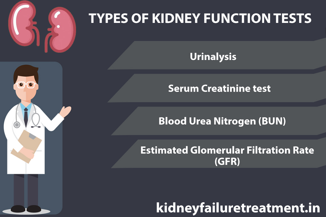 What is Kidney Function Test