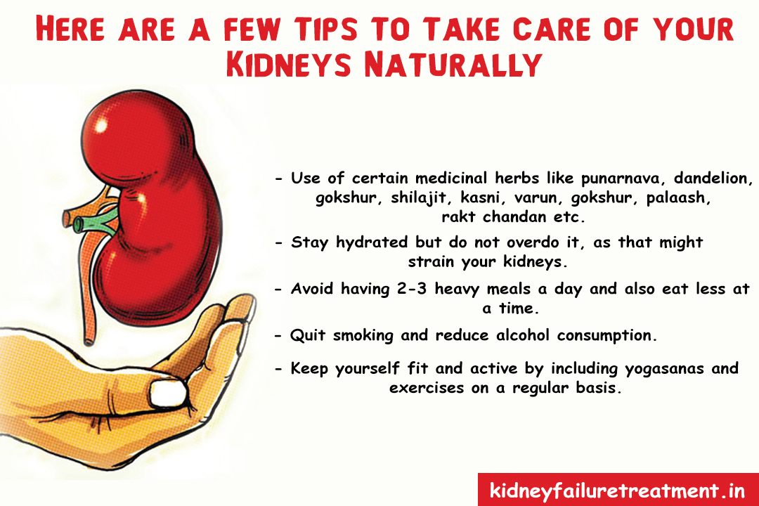 Ayurvedic Doctors for Kidney Failure Treatment in Nashville, Tennessee