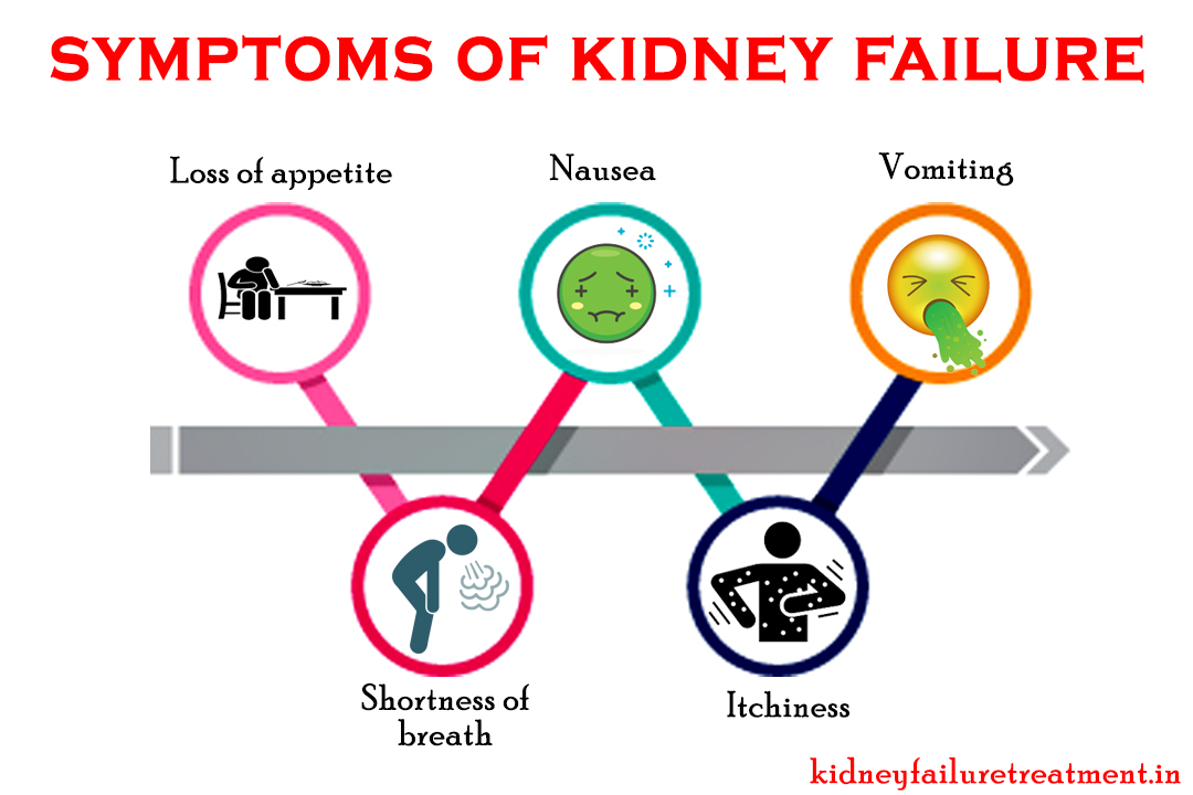 Ayurvedic Doctors for Kidney Failure Treatment in Rhode Island, Providence