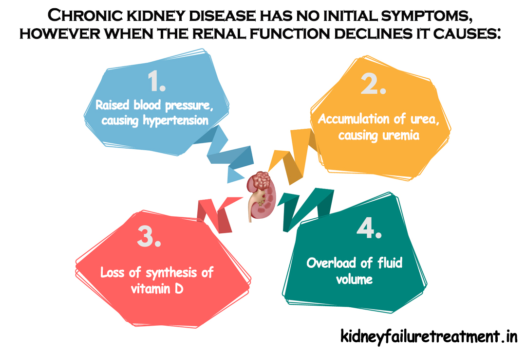Best Ayurved Doctor And Hospital For Kidney Failure Treatment In Norwich