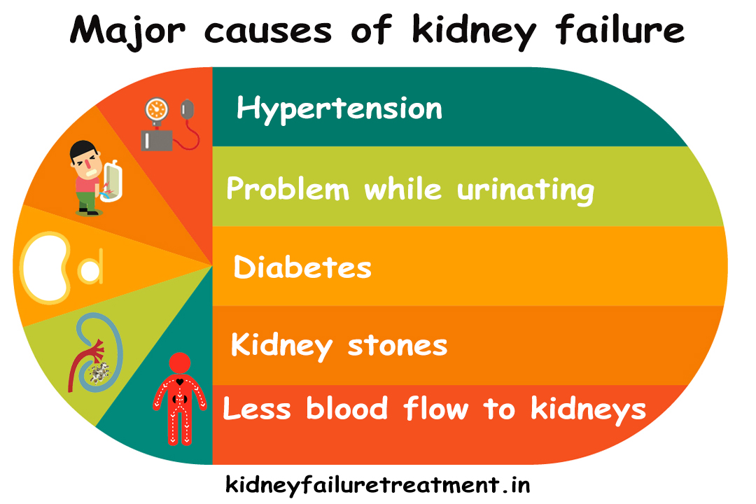 Liver and kidney failure chance of survival