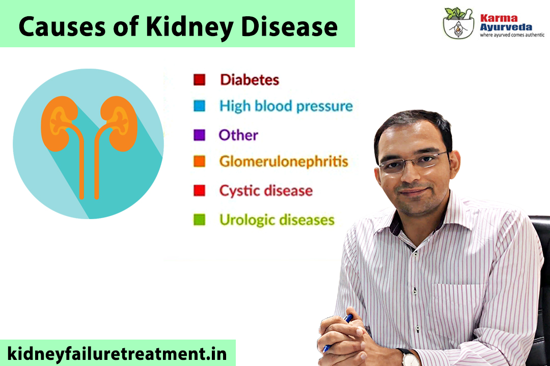 kidney failure review