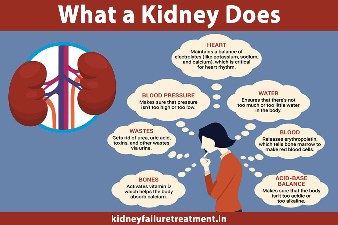 Ayurvedic Doctors For Kidney Failure Treatment In Maryland