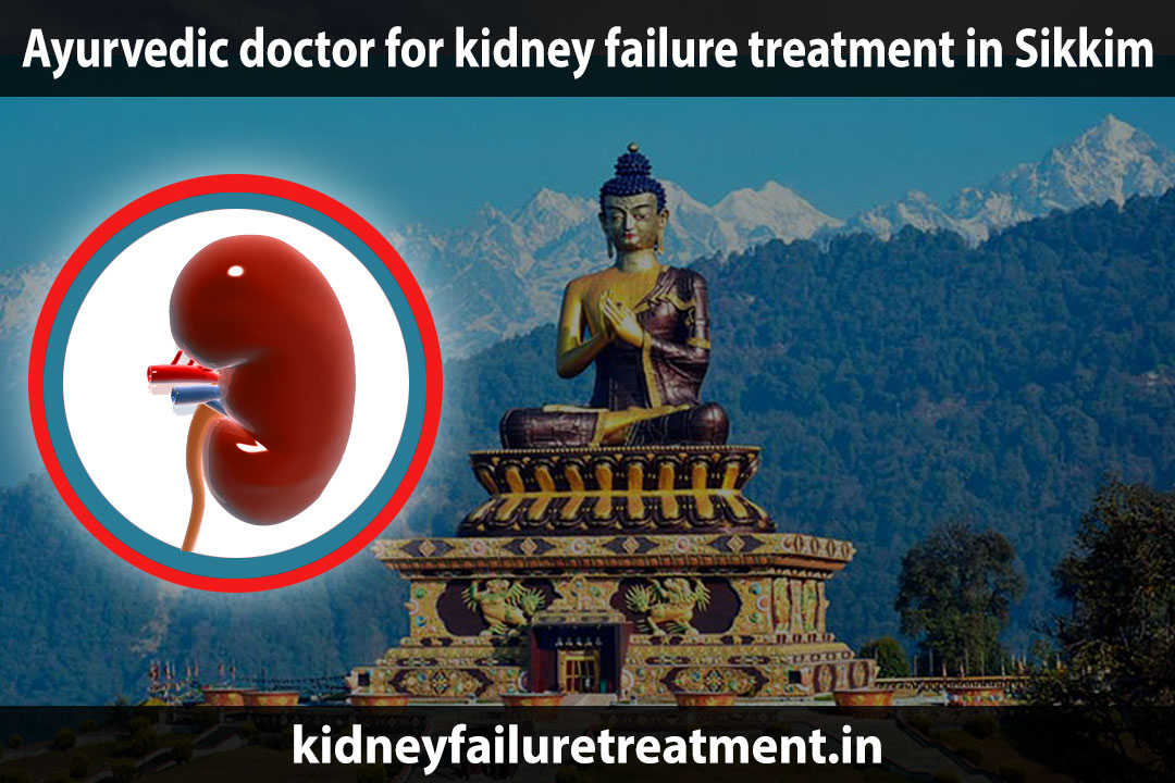 Ayurvedic-doctor-for-kidney-failure-treatment-in-Sikkim