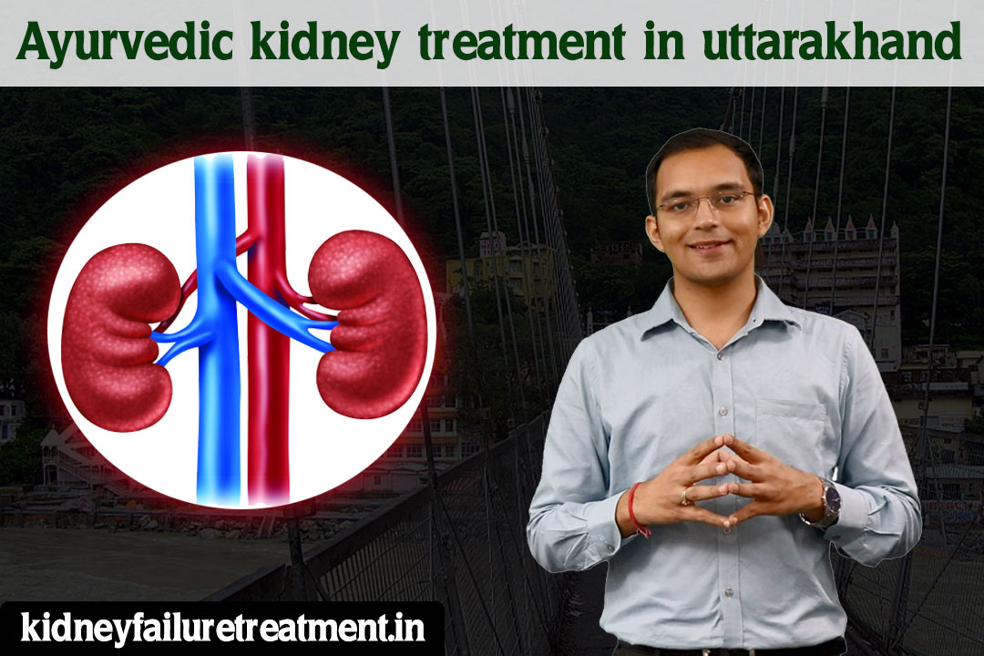 Ayurvedic-kidney-treatment-in-uttarakhand