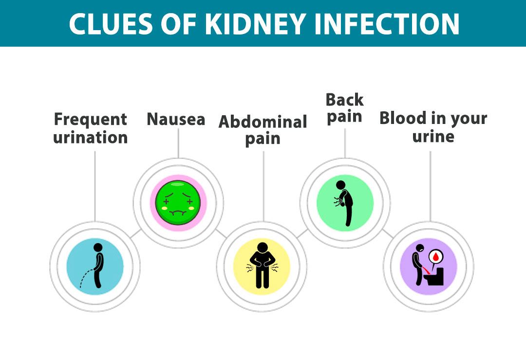 Best-Kidney-Infection-Treatment-in-Ayurveda