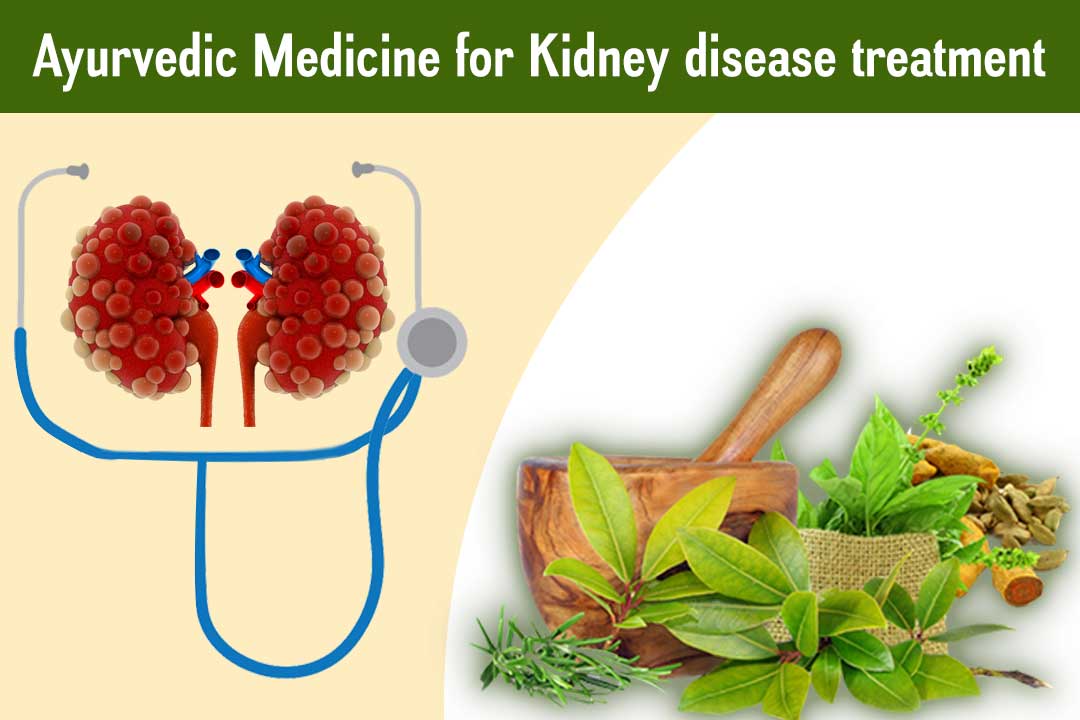 Ayurvedic-Medicine-for-Kidney-disease-treatment
