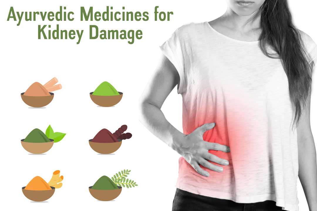 Ayurvedic-Medicines-for-Kidney-Damage