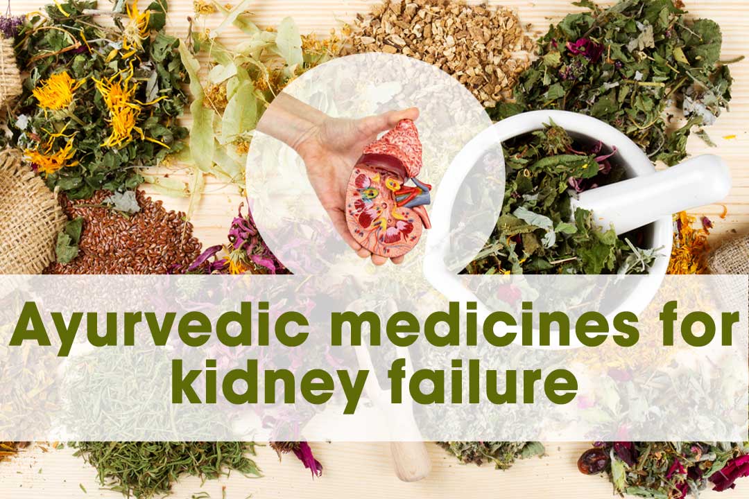 Ayurvedic-medicines-for-kidney-failure