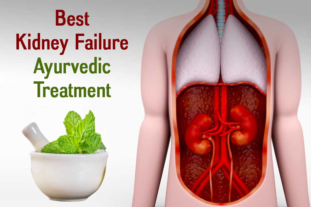 Best Kidney Failure Ayurvedic Treatment