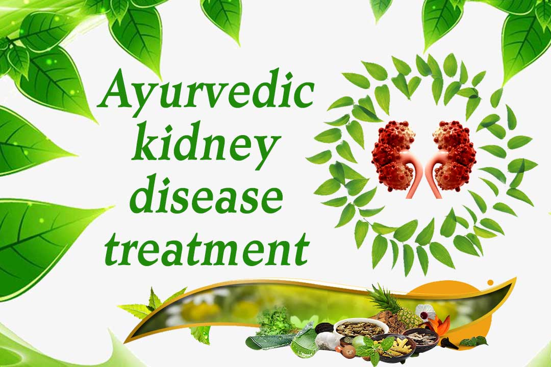 Is-Ayurvedic-kidney-disease-treatment-a-permanent-solution