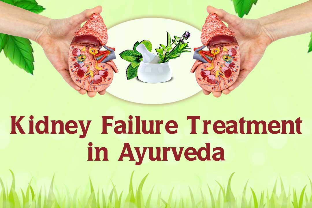 Kidney-failure-treatment-in-Ayurveda