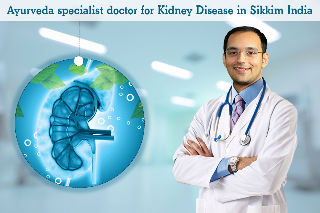 Find Ayurveda specialist doctor for kidney disease in Sikkim, India!