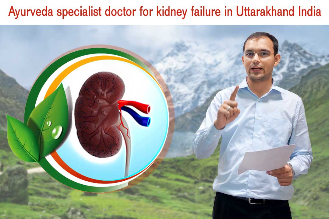 Ayurveda specialist doctor for kidney failure in Uttarakhand India