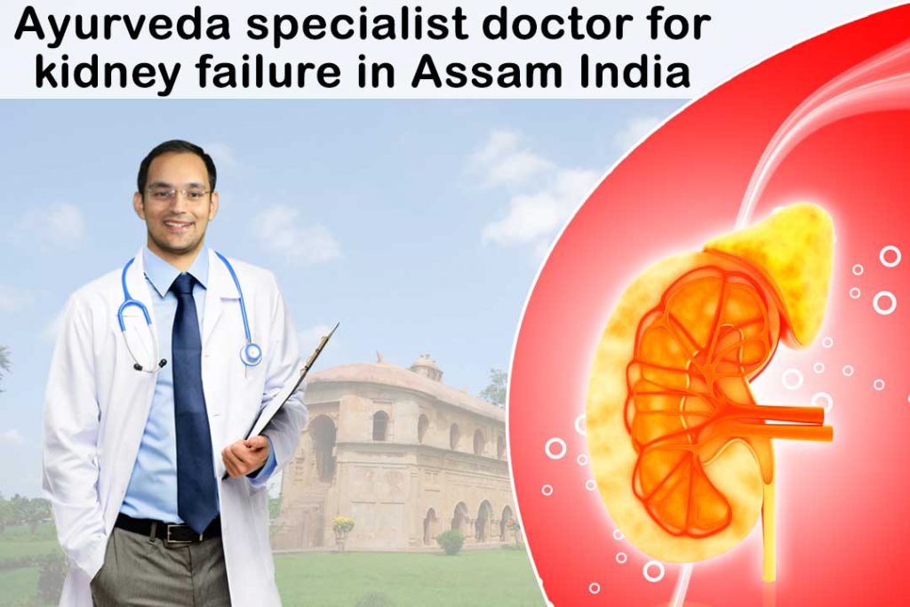 The best Ayurveda specialist doctor for kidney failure in Assam India