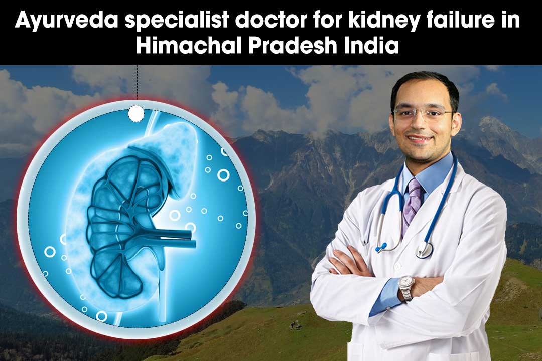 Ayurveda specialist doctor for kidney failure in Himachal Pradesh India