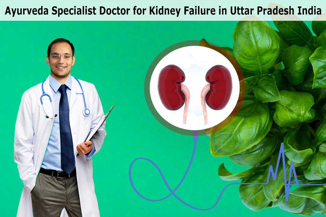 Ayurveda specialist doctor for kidney failure in Uttar Pradesh India