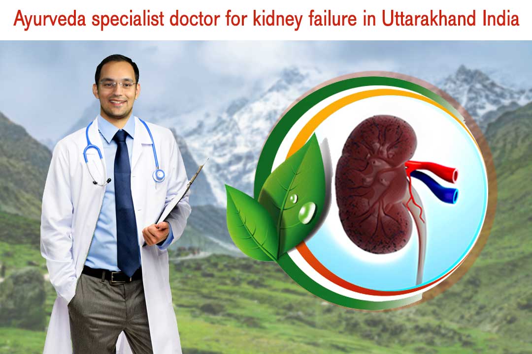 ayurveda specialist doctor for kidney failure in Uttarakhand India