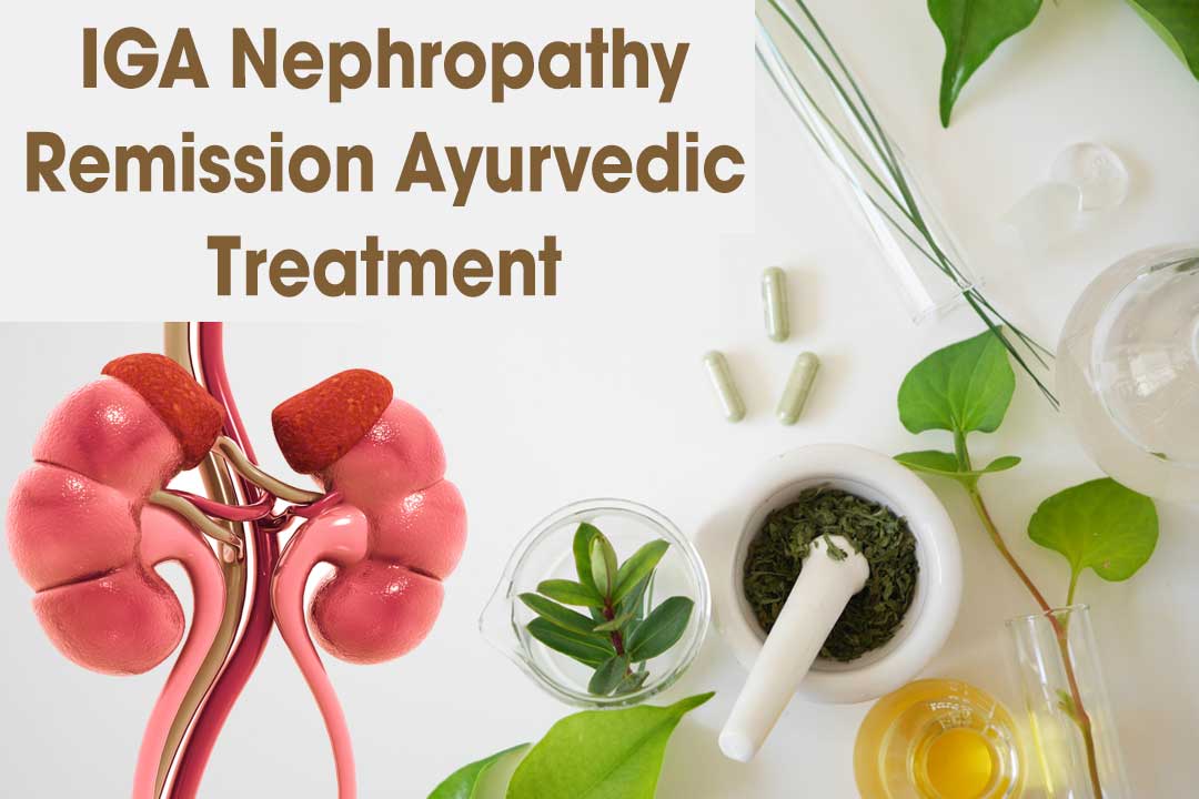 IgA nephropathy remission ayurvedic treatment