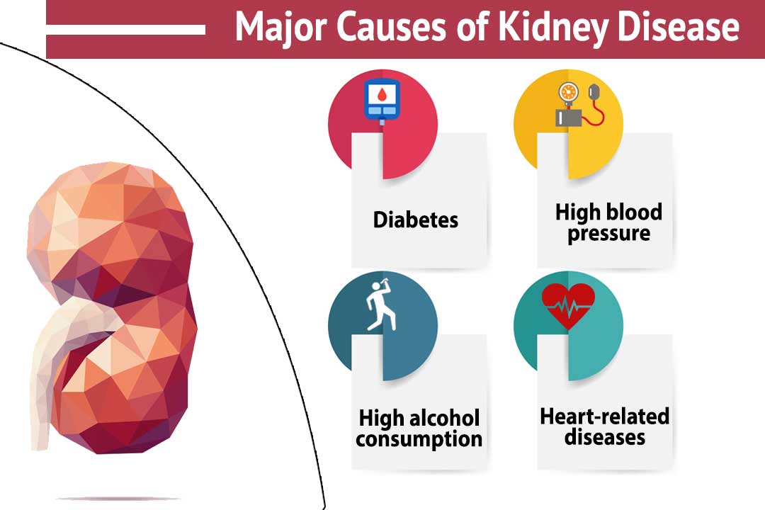 Major Causes of kidney disease