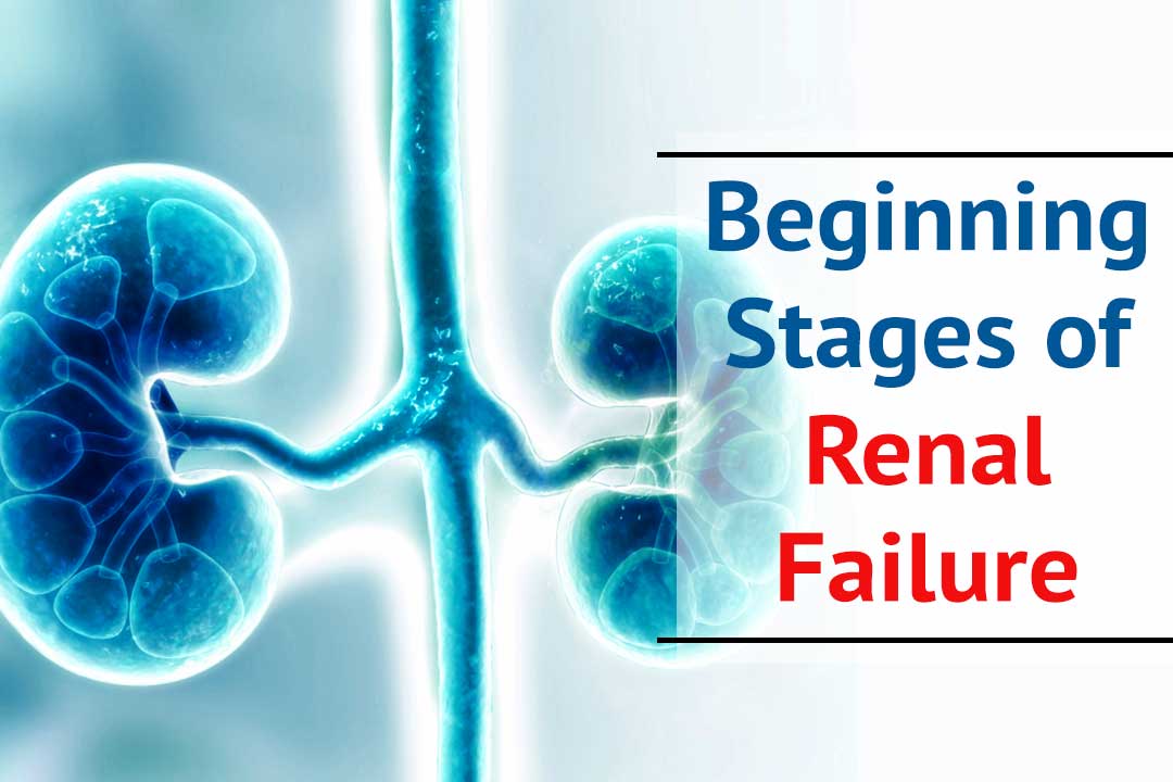 beginning stages of renal failure