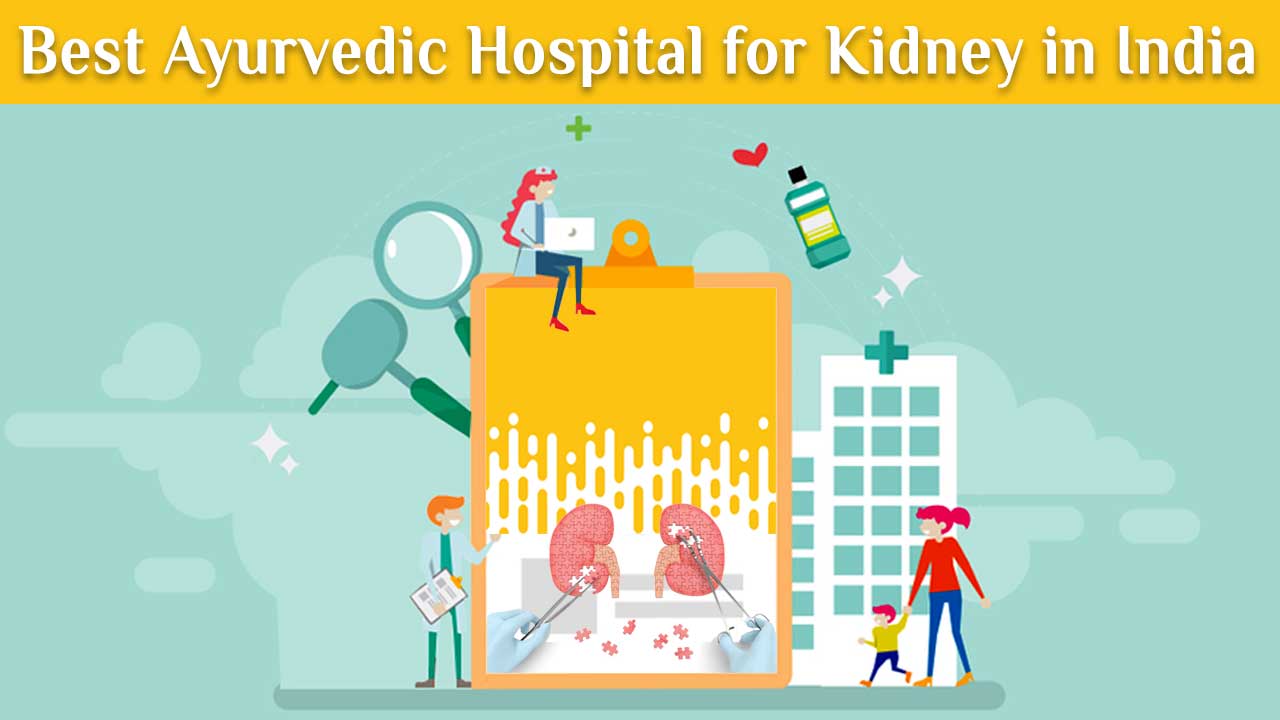 best ayurvedic hospital for a kidney in India