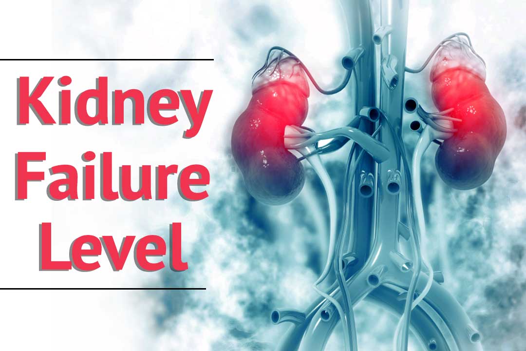 kidney failure level