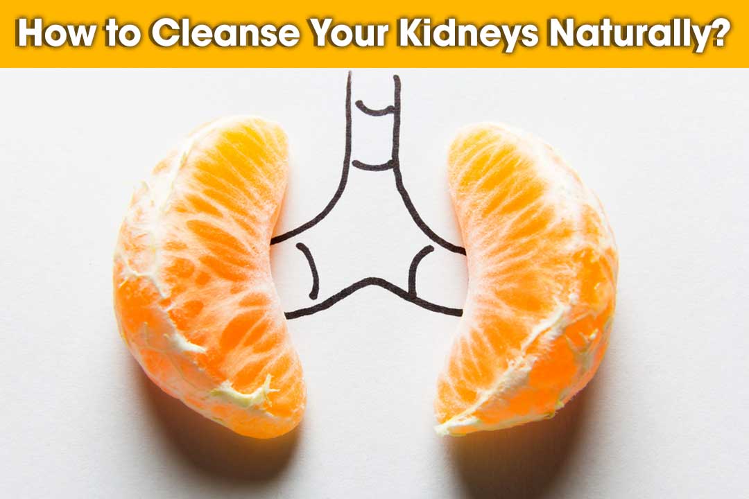 How to cleanse your kidneys naturally?