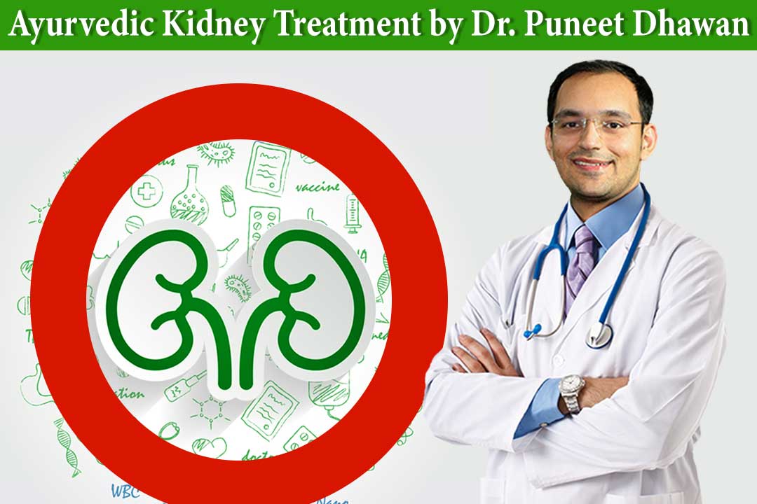 Ayurvedic kidney treatment by Dr. Puneet Dhawan