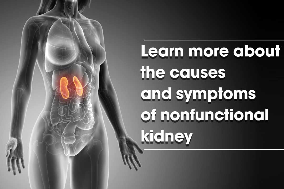 Learn more about the causes and symptoms of nonfunctional kidney
