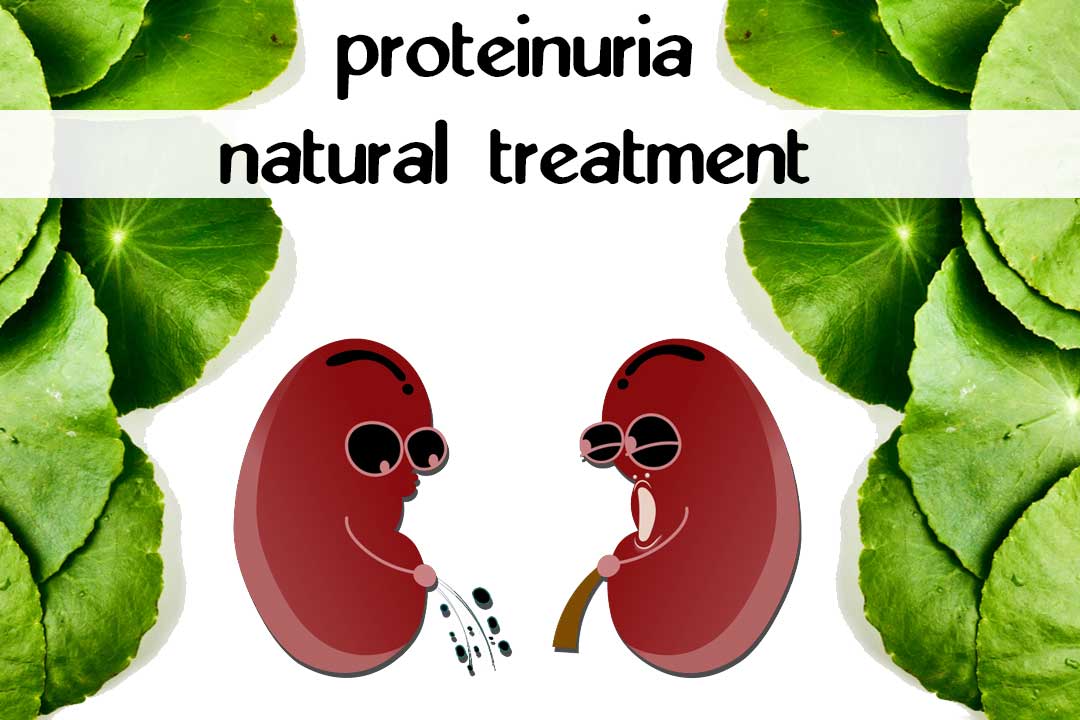 Proteinuria Natural Treatment
