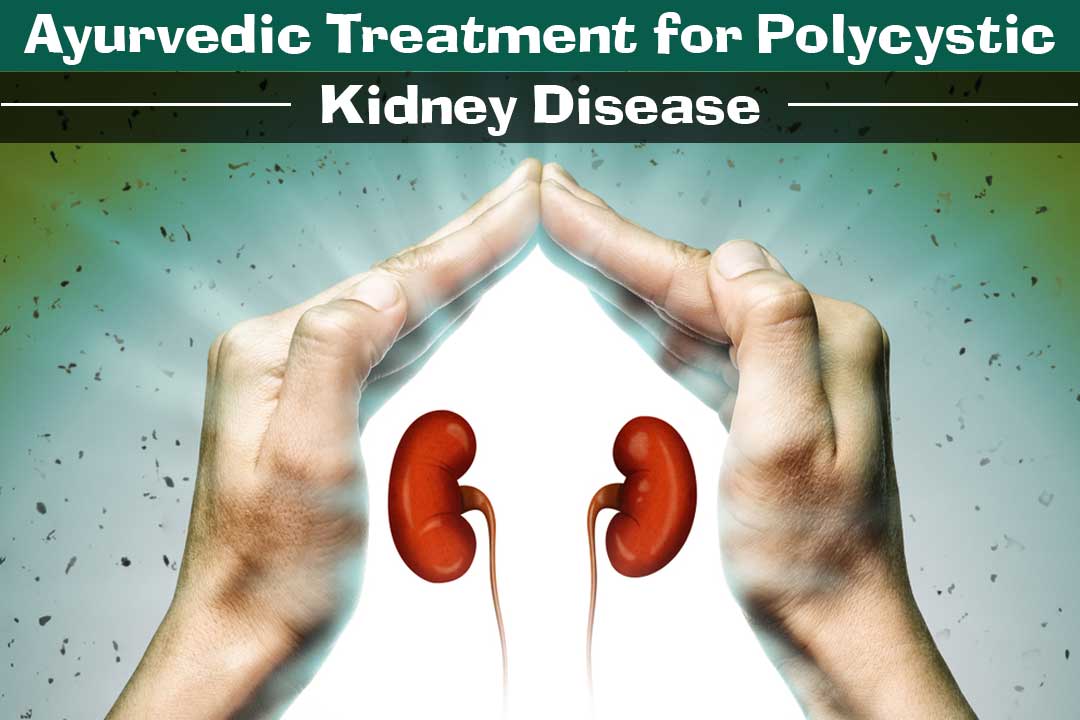 Ayurvedic treatment for polycystic kidney disease