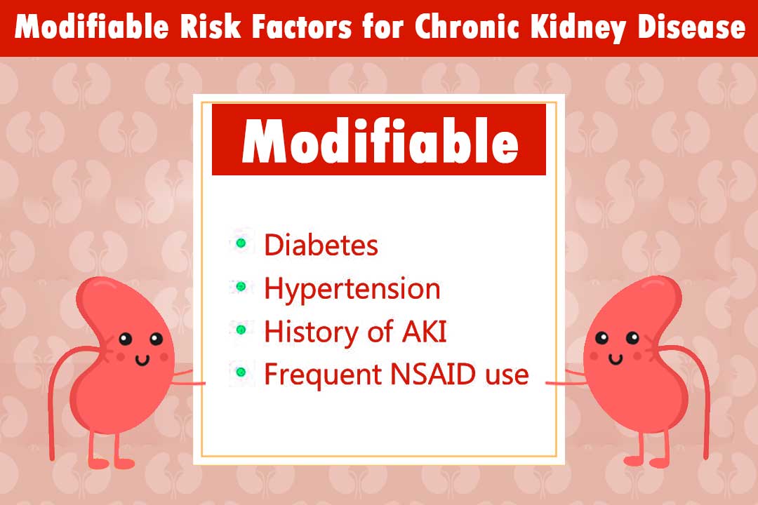 modifiable risk factors for chronic kidney disease